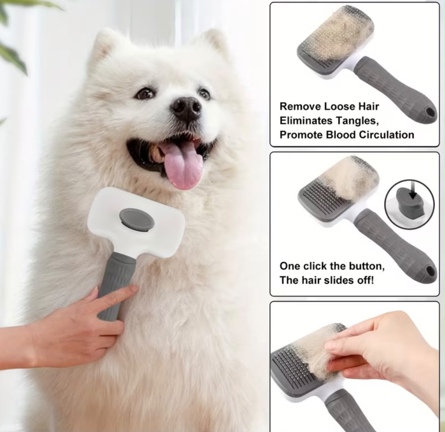 Dog Brush