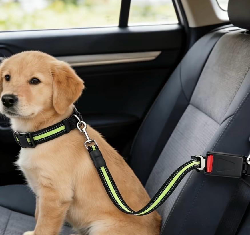 Pet Safety Belt